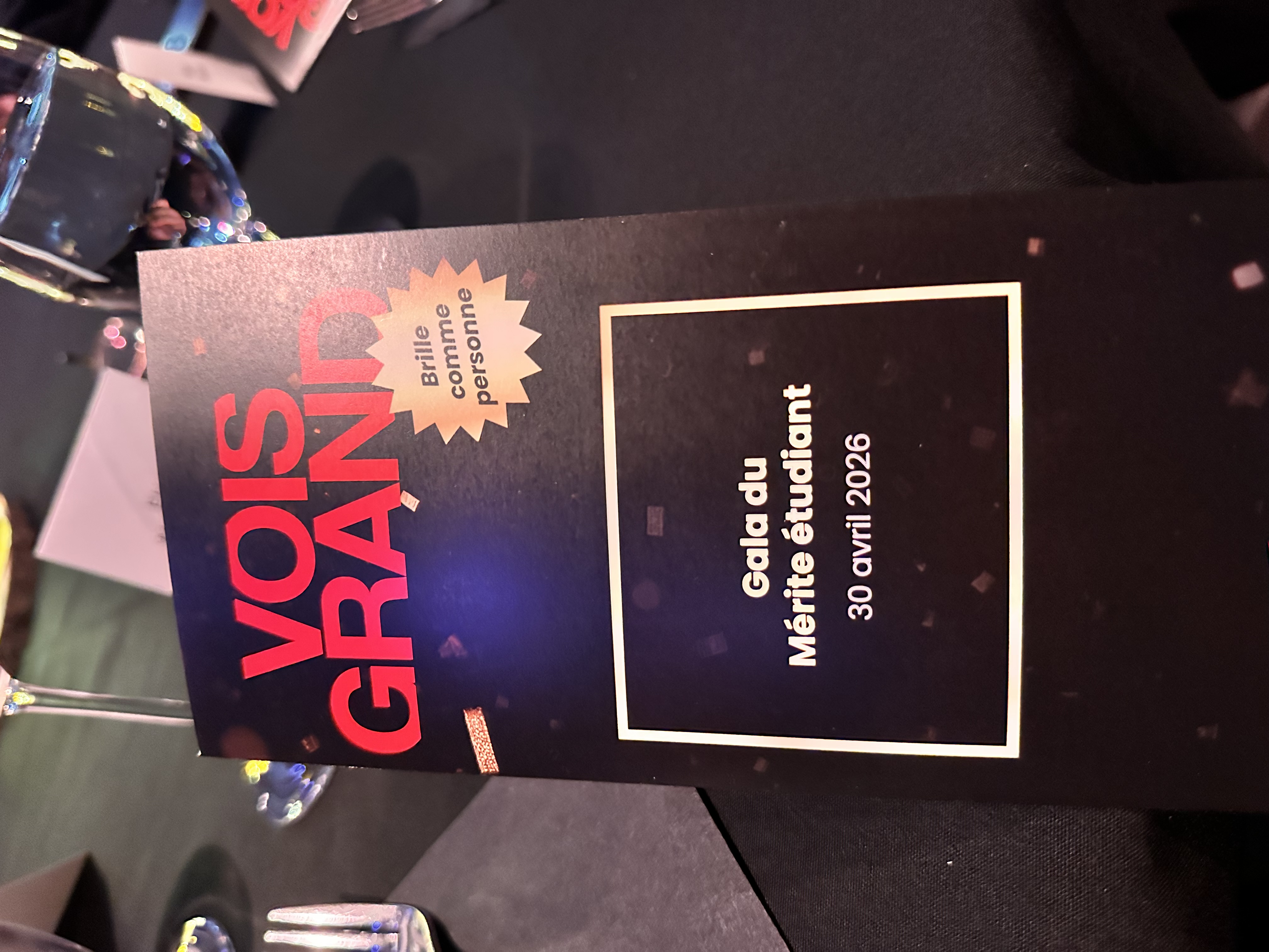 Programme Vois Grand